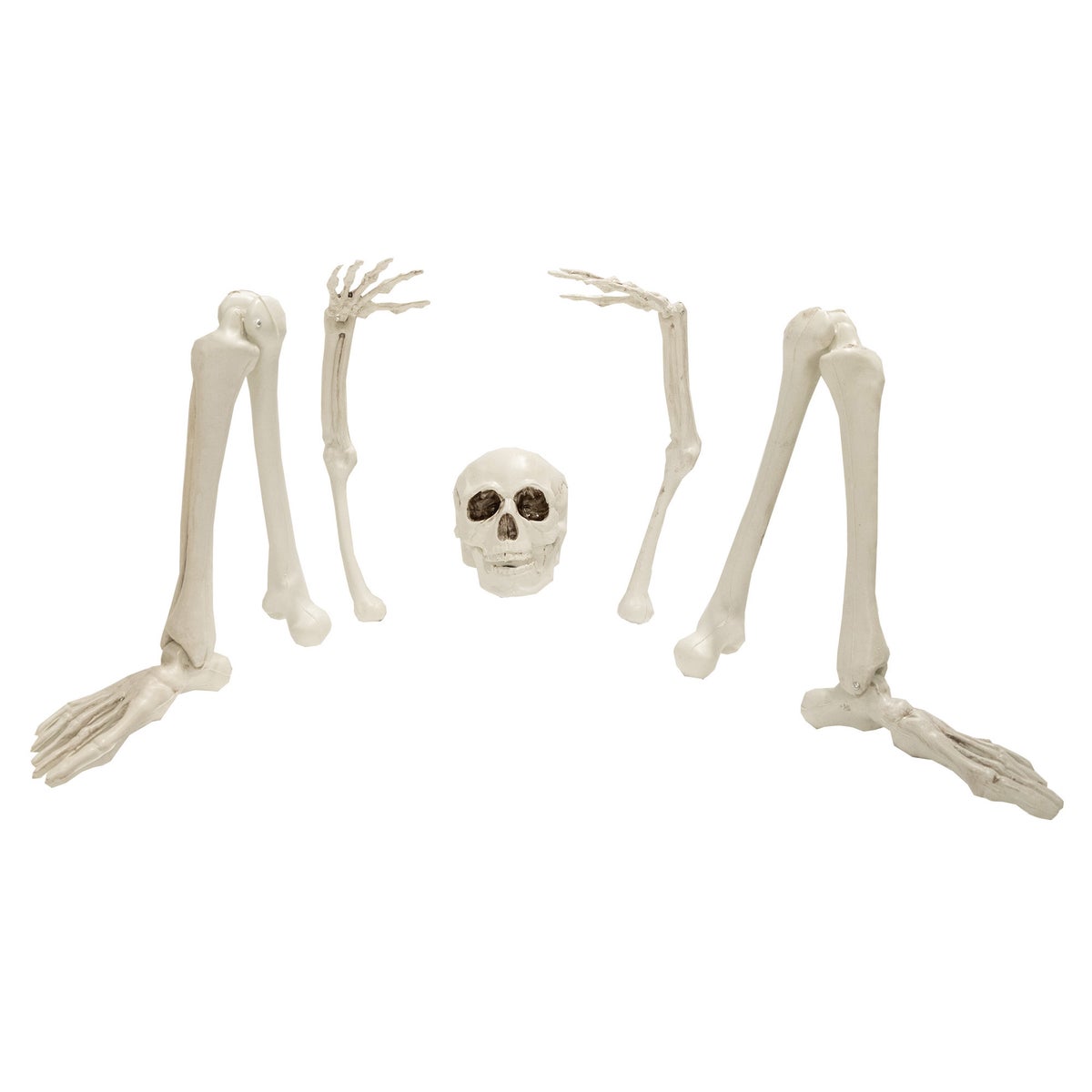 Grafset skelet met beenderen Grafset skelet met beenderen