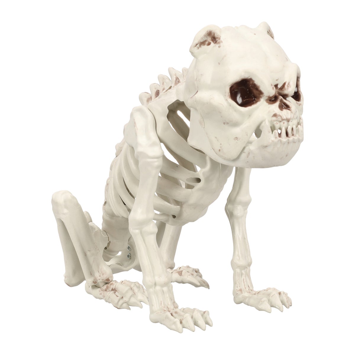 Skelet bulldog Skelet bulldog