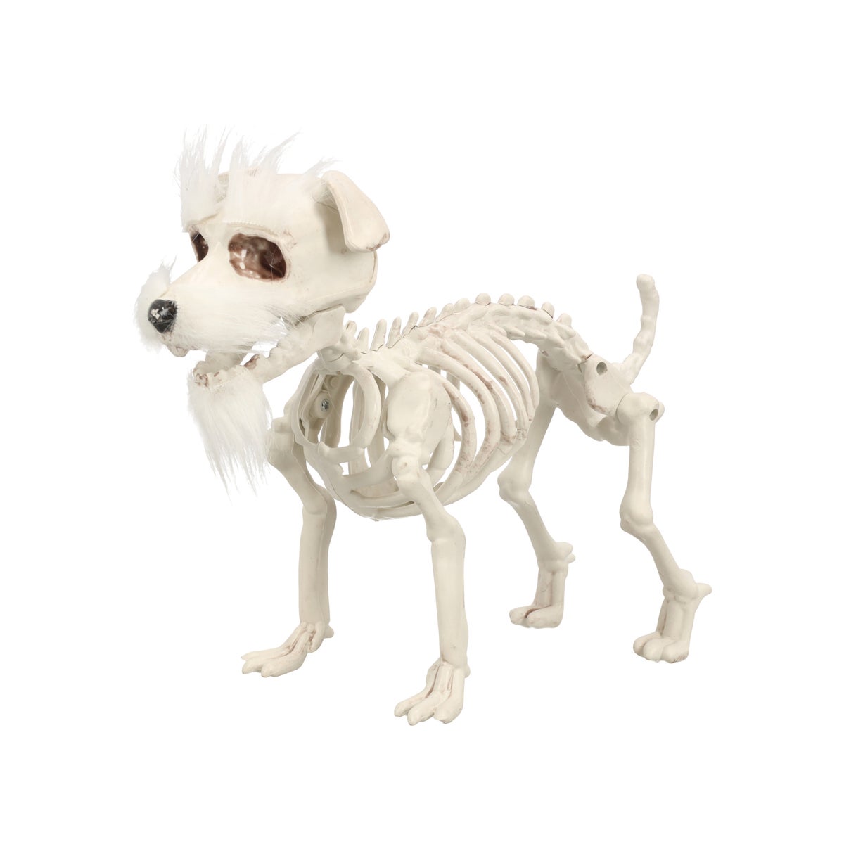 Skelet hond met haar Skelet hond met haar