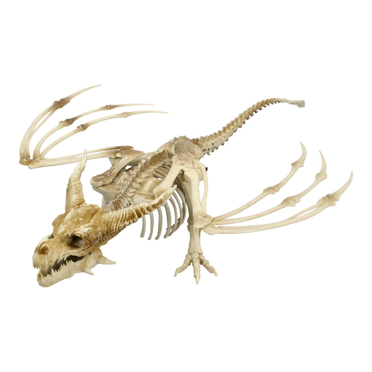 Skelet draak 90 cm Skelet draak 90 cm