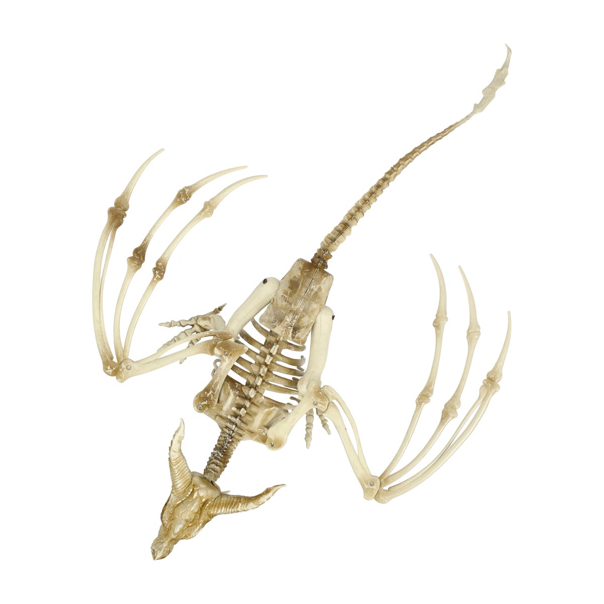Skelet draak 90 cm Skelet draak 90 cm