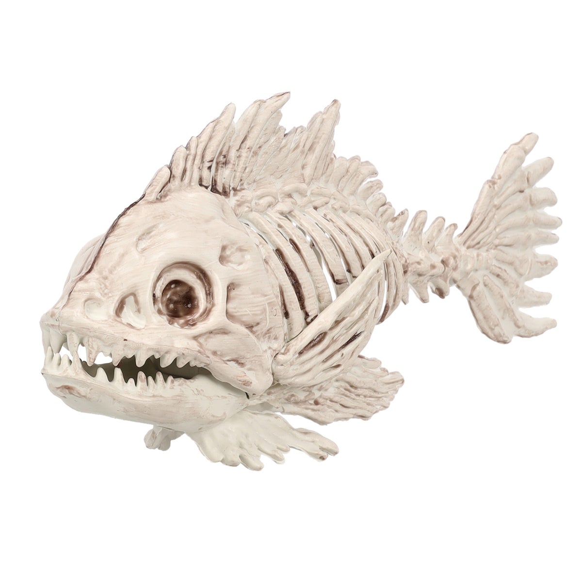 Skelet vis 25 cm Skelet vis 25 cm