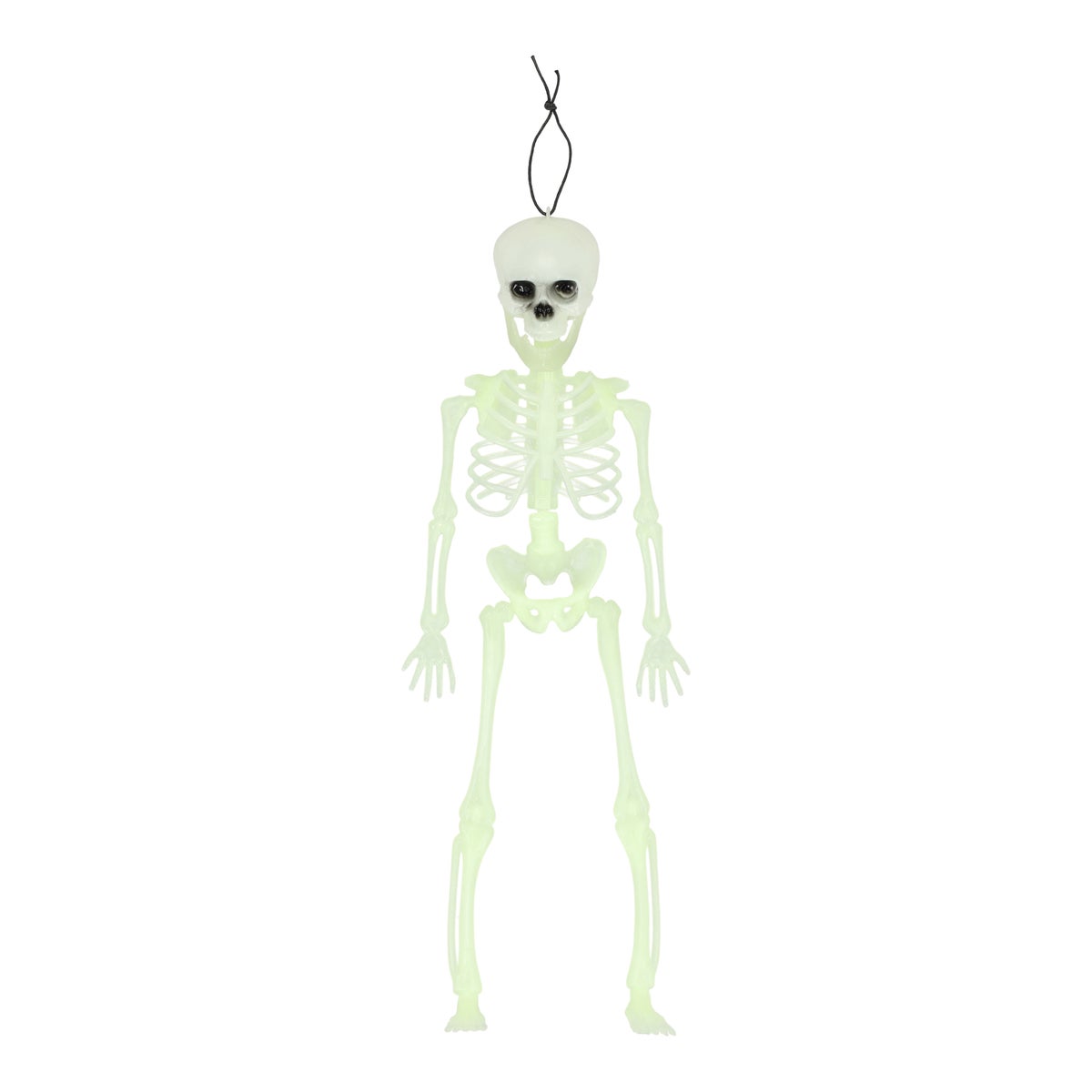 Skelet glow in the dark 40 cm Skelet glow in the dark 40 cm