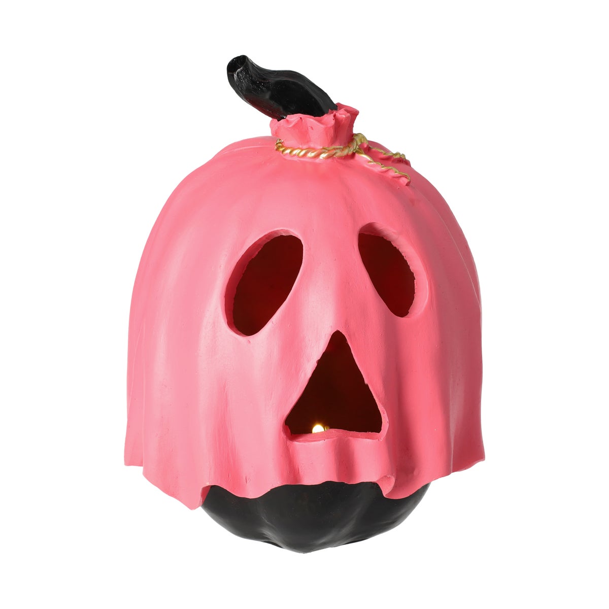 Pompoen fuchisa spook 15 x 18 cm Pompoen fuchisa spook 15 x 18 cm