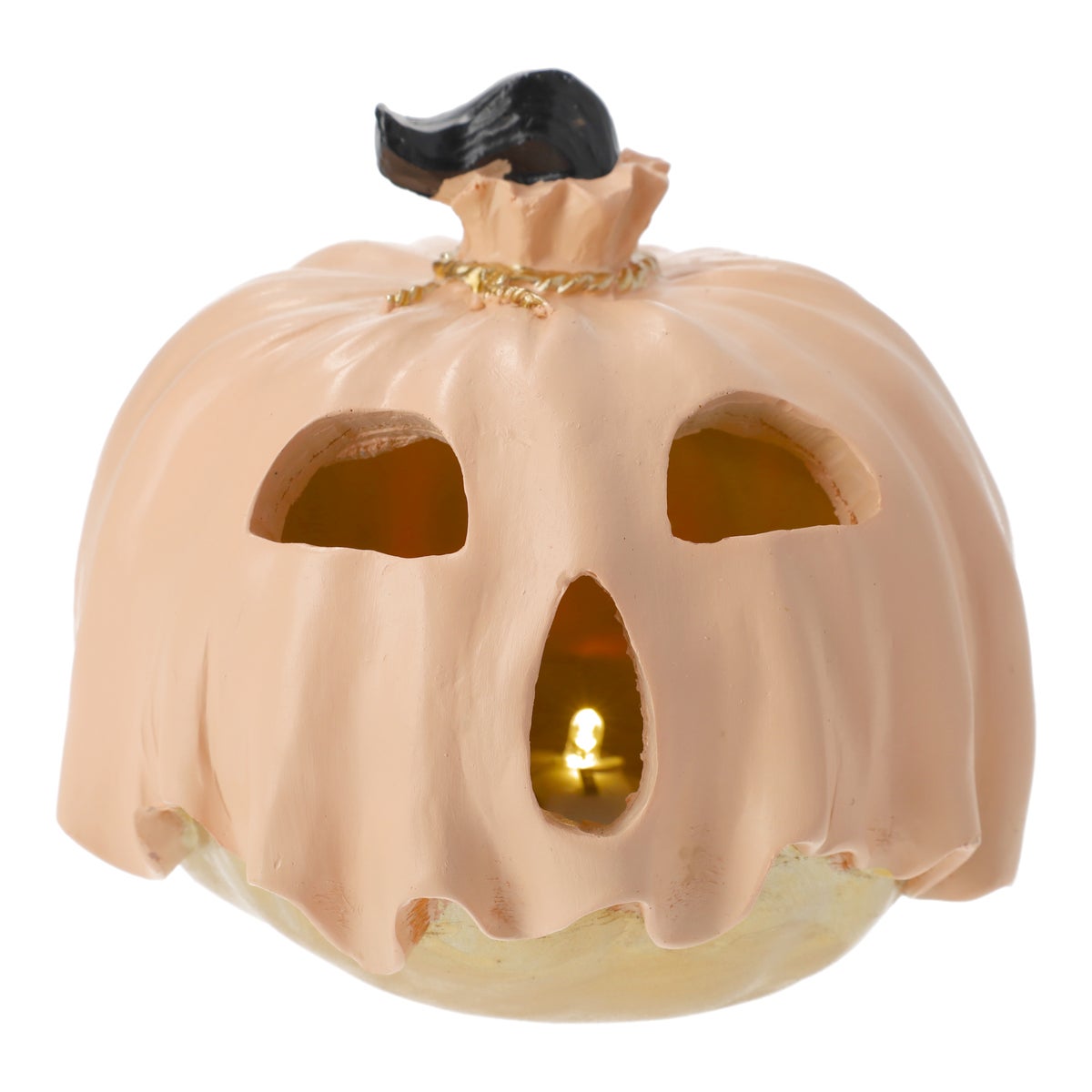 Pompoen roze spook 15 x 13 cm Pompoen roze spook 15 x 13 cm