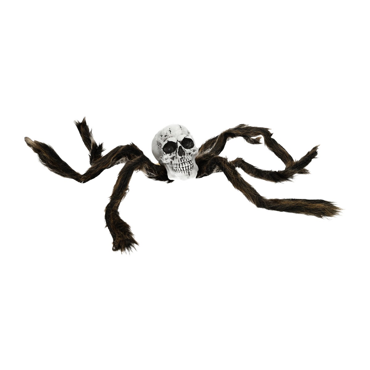 Skeletspin zwart 70 cm Skeletspin zwart 70 cm