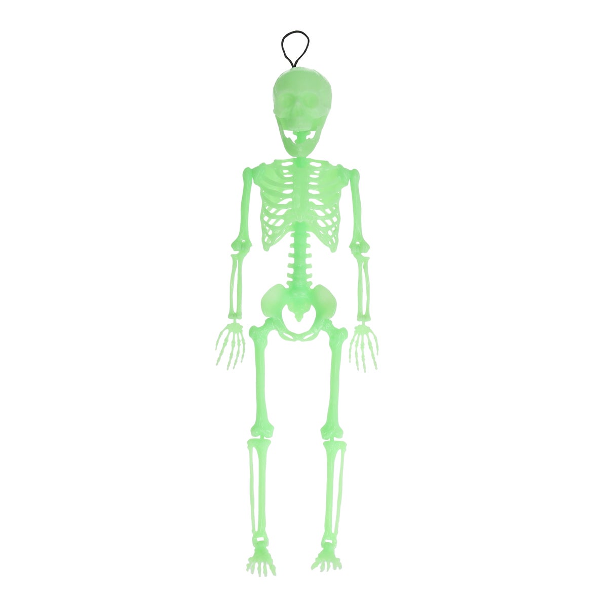 Hangskelet fluor groen 60 cm Hangskelet fluor groen 60 cm