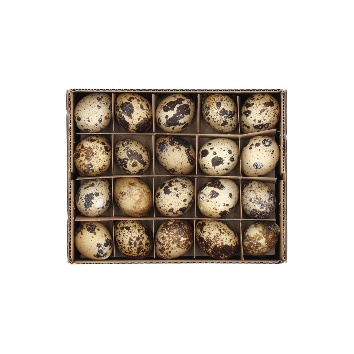 Kwartelei 60 stuks Kwartelei 60 stuks