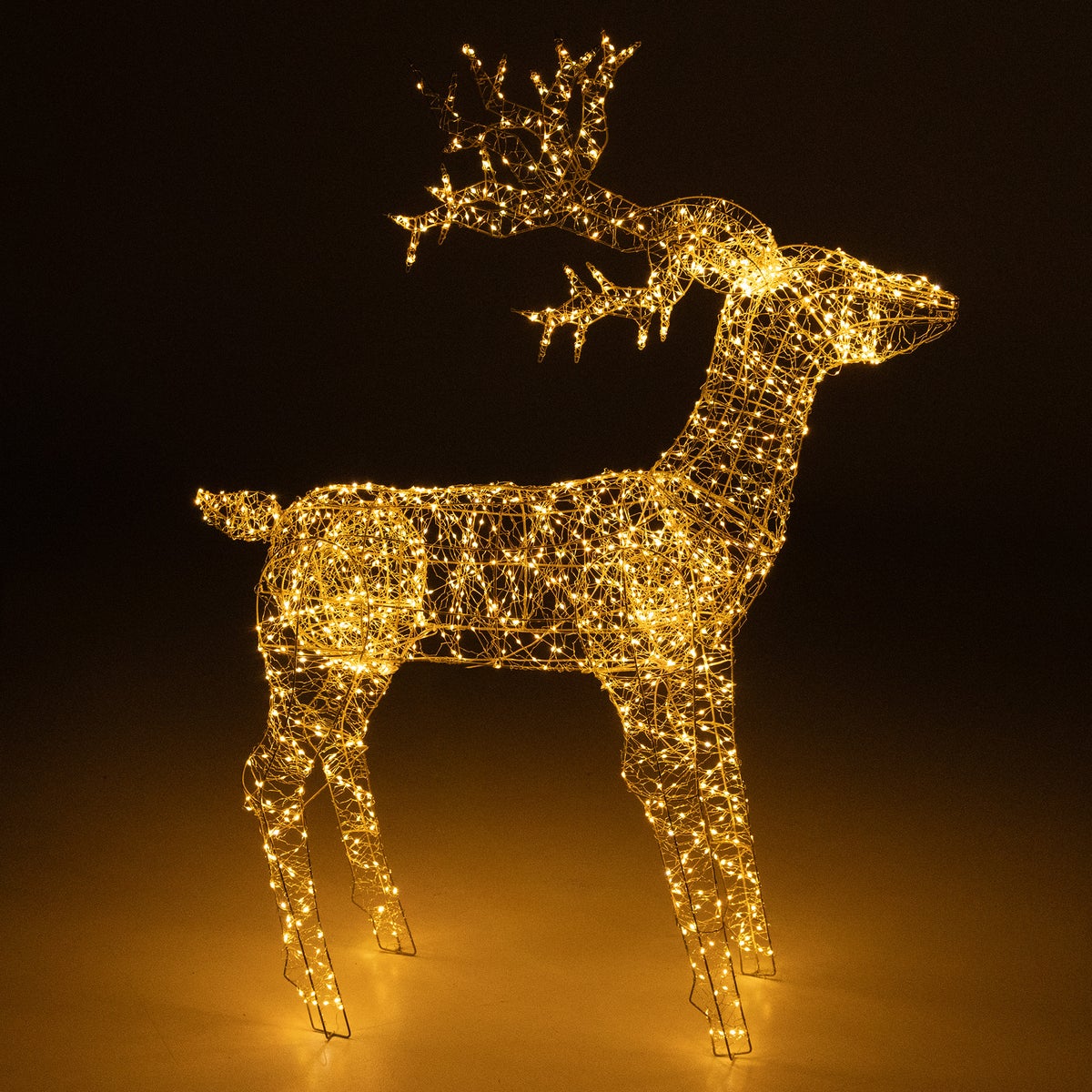 Rendier Maine 100 cm 800 LED-duo Rendier Maine 100 cm 800 LED-duo