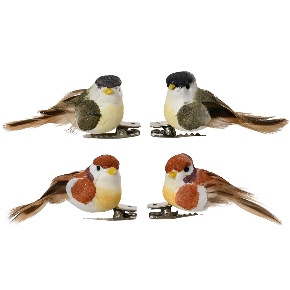 Vogel op clip 5 cm 4 assorti Vogel op clip 5 cm 4 assorti