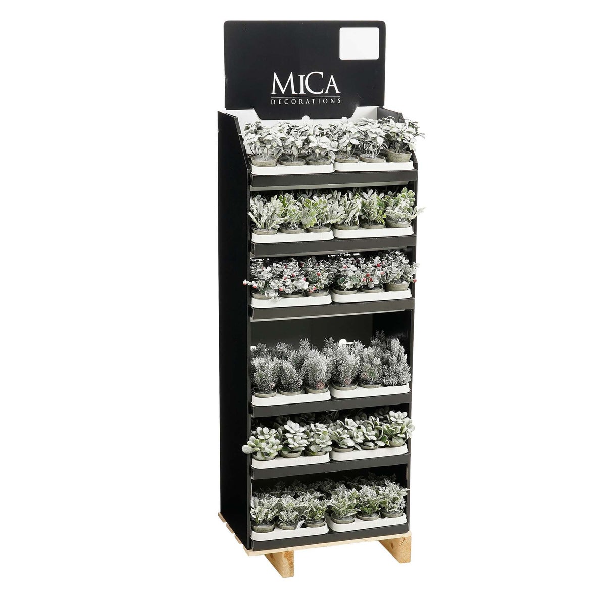 Nest plant + pot set van 144 stuks Nest plant + pot set van 144 stuks
