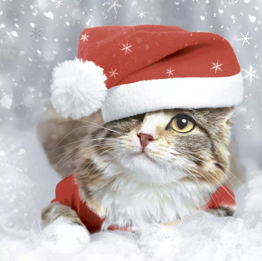Servet 33 x 33 cm Kitten Christmas Servet 33 x 33 cm Kitten Christmas