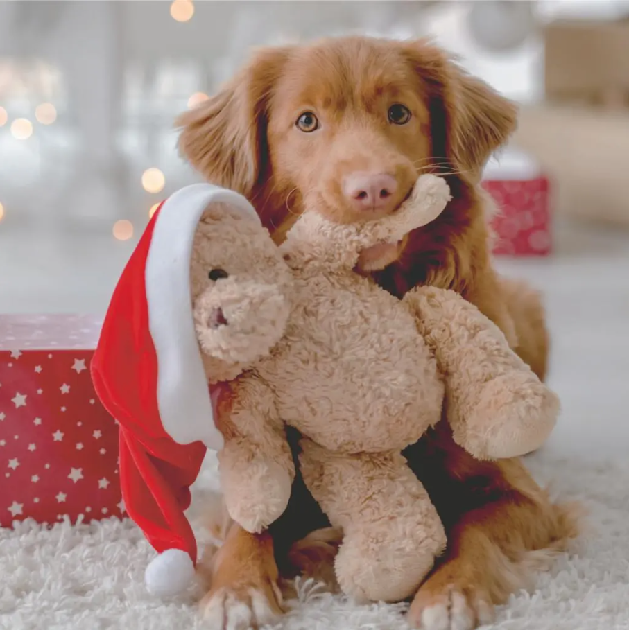 Servet 33 x 33 cm Woof Servet 33 x 33 cm Woof