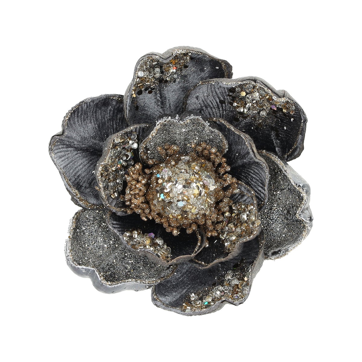 Magnolia winter lux gray Magnolia winter lux gray