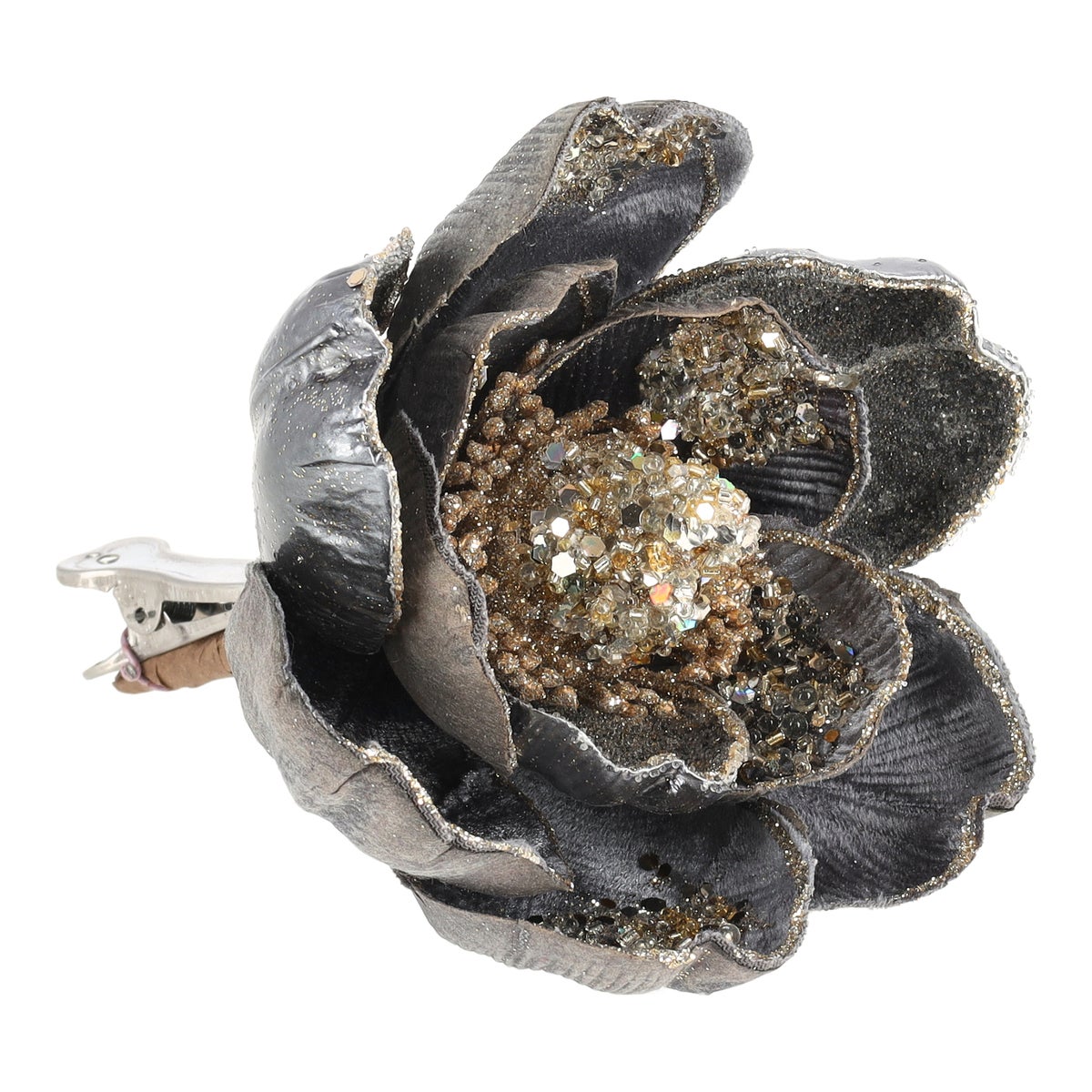 Magnolia winter lux gray Magnolia winter lux gray