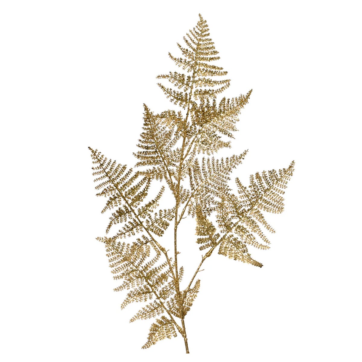 Tak Asparagus goud 87 cm Tak Asparagus goud 87 cm