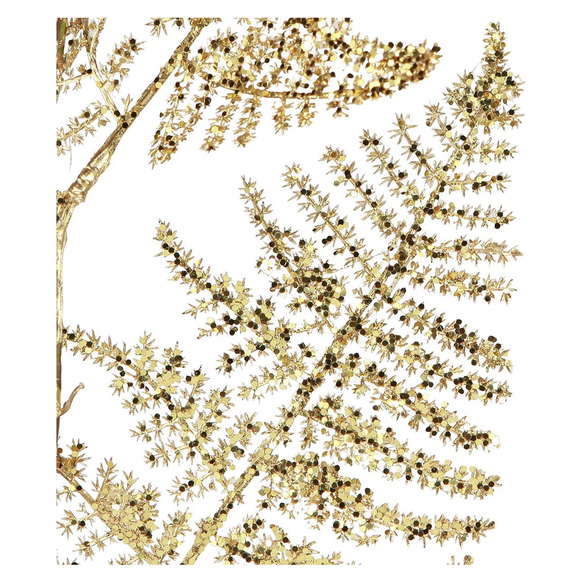 Tak Asparagus goud 87 cm Tak Asparagus goud 87 cm