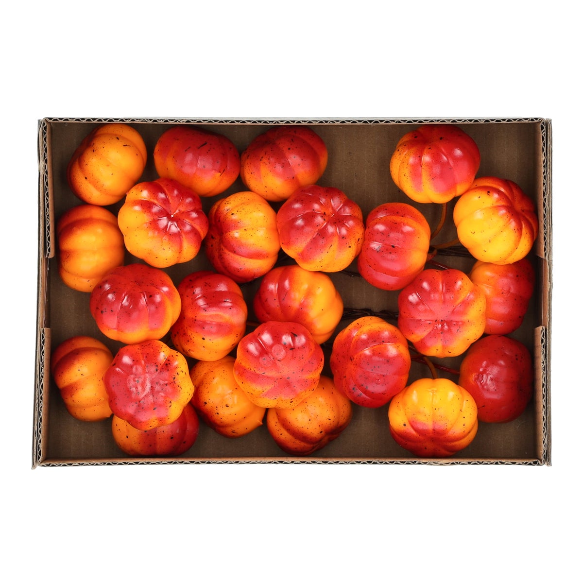 Pompoen mini mix Pompoen mini mix