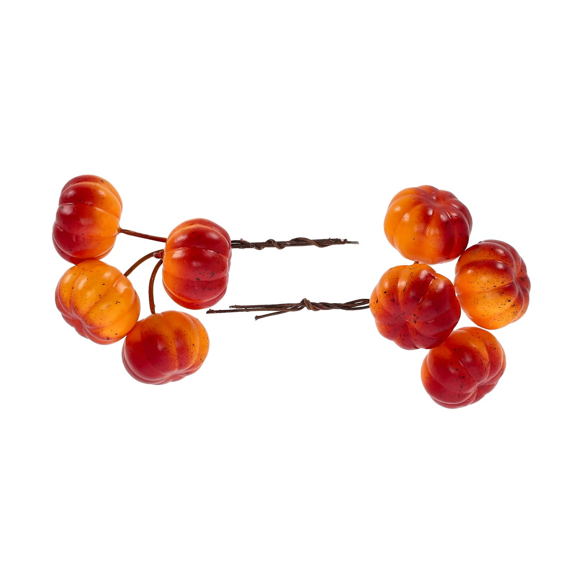 Pompoen mini mix Pompoen mini mix