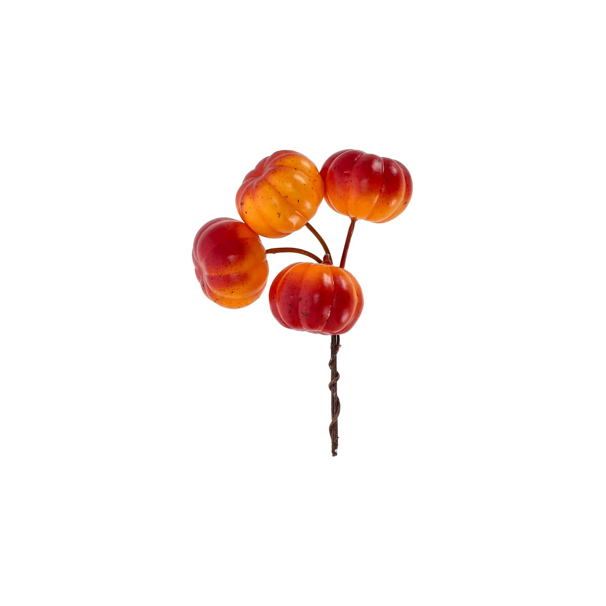 Pompoen mini mix Pompoen mini mix