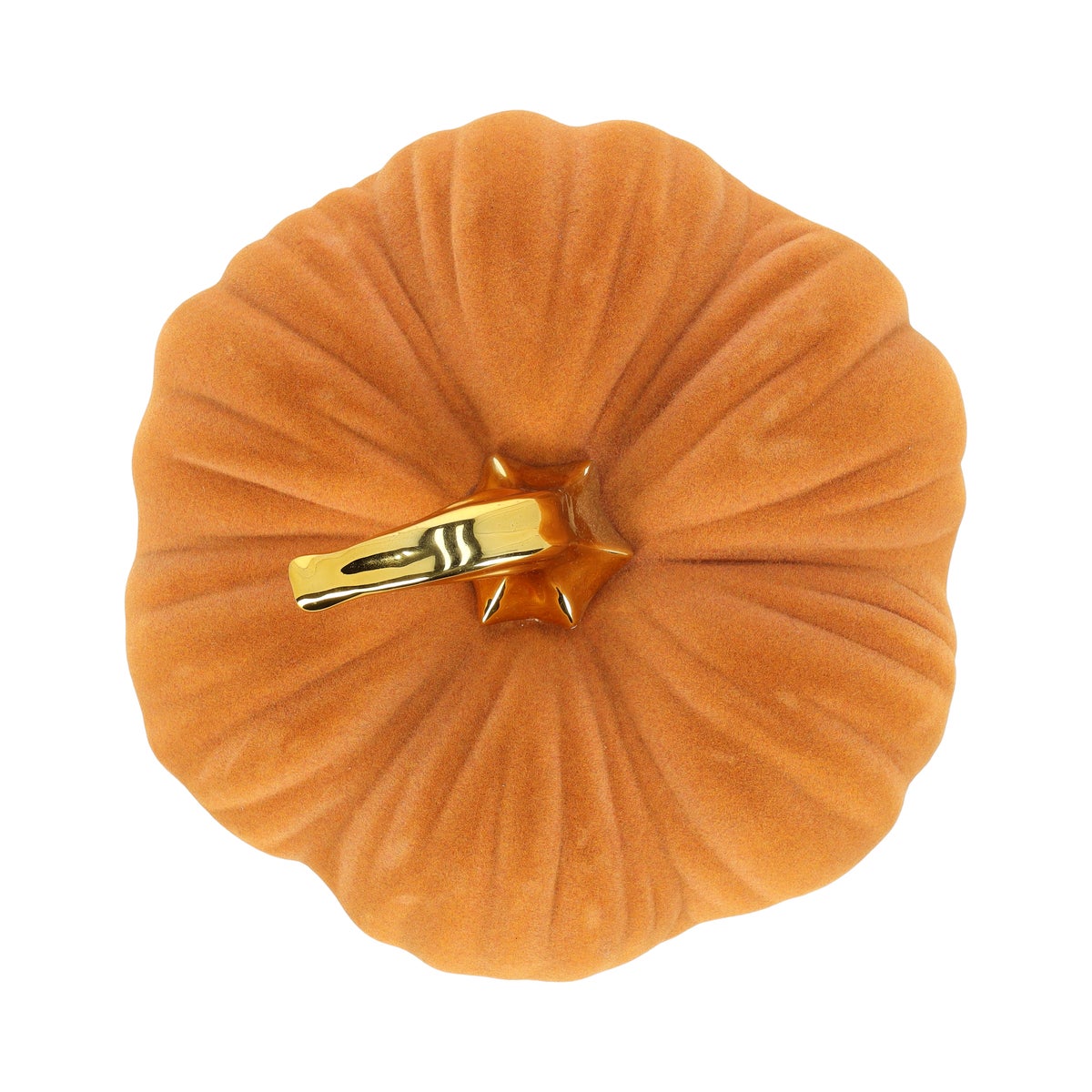 Pompoen bruin 21x15cm Pompoen bruin 21x15cm