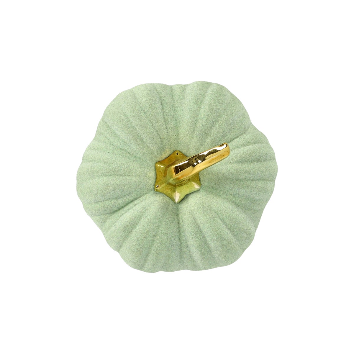 Pompoen groen 14 x 9 cm Pompoen groen 14 x 9 cm