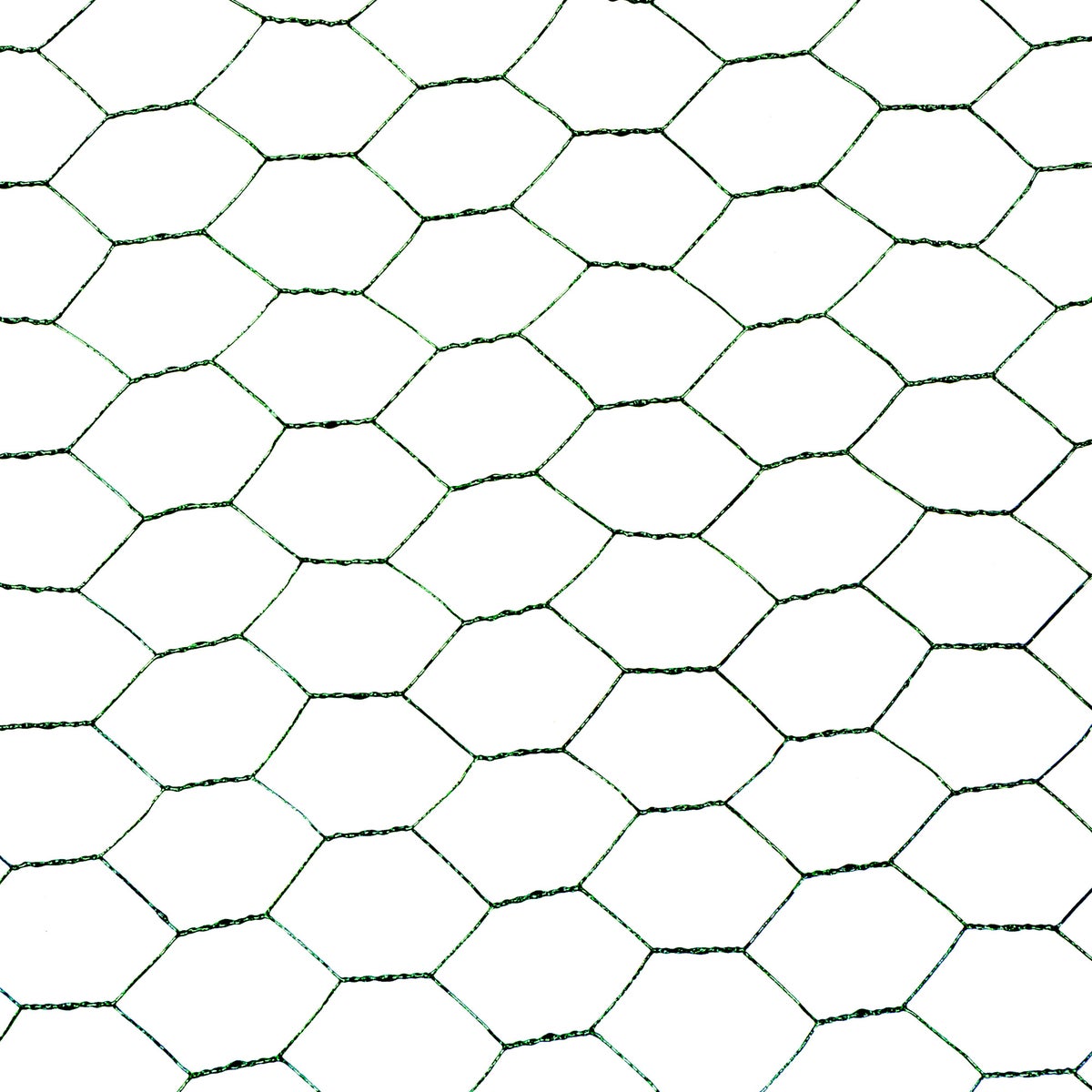 Gaas Kuiken Groen Bel Garden Gaas Kuiken Groen Bel Garden