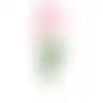 Bloem Poppy fuchsia 59cm