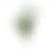 Olijftak 85 cm