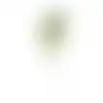 Tak Sofie 70 cm groen