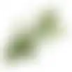 Tak Sofie 70 cm groen