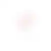 Tak blad roze 60cm