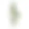 Philodendron hangend groen 115cm