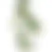 Philodendron hangend groen 115cm
