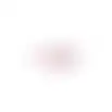 Verpakkingslint 4m roze mix 10ass