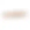 Tray hout Anneleen 60x20cm