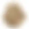 Berk 300g goud NC