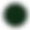 Tuinbeits DK m.groen 2503 2.5L Finess