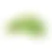 Speelgoed H Ceano schildpad groen 25,5x24x7,2cm FP