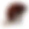 Hondenspeelgoed pluche everzwijn