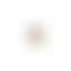 Reismand dier pro oud roze