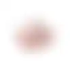 Reismand dier pro oud roze