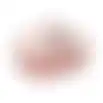 Reismand dier pro oud roze