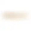 Hondensnack nature varkensrol 50cm 1st
