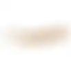 Hondensnack nature kophuid 50cm 100g