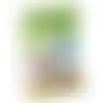 Hondensnack dental tandenborstel L 6st Whimzees