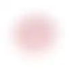 Kussen Dier Pluche Roze
