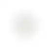 Dierendoekjes oog+oor 120st Friendly Pet