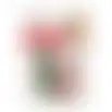 Vingertandenborstel Dentes roze/groen