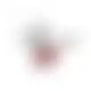 Kittentuig zwart/rood 10mmx110cm